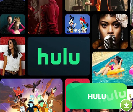 Hulu Video Downloader