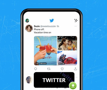 Twitter Video Downloader