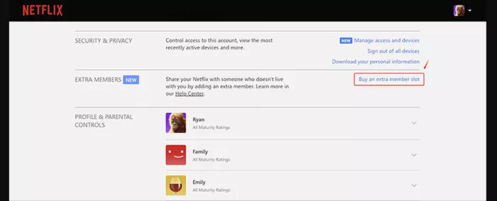 Buy an extra member slot on Netflix