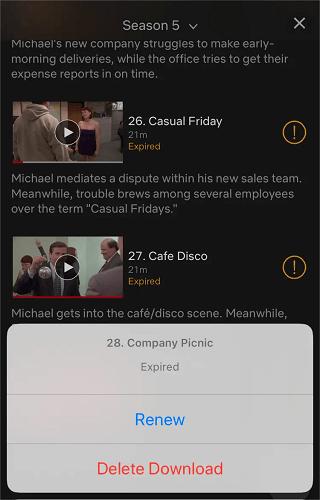 renew netflix downloads
