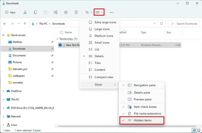 show hidden files explorer