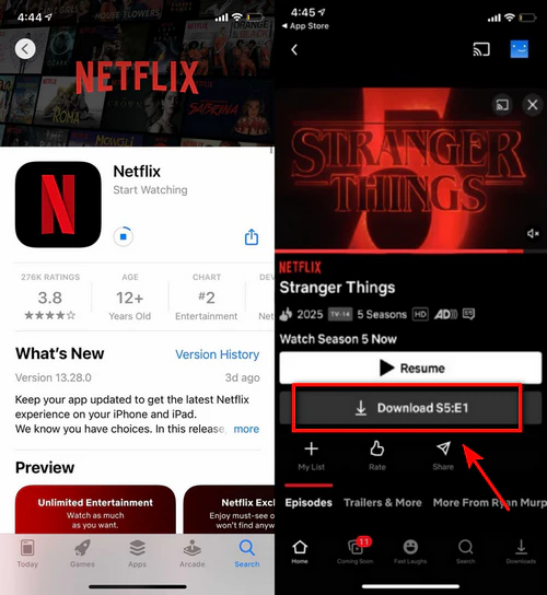 Download Stranger Things on Netflix