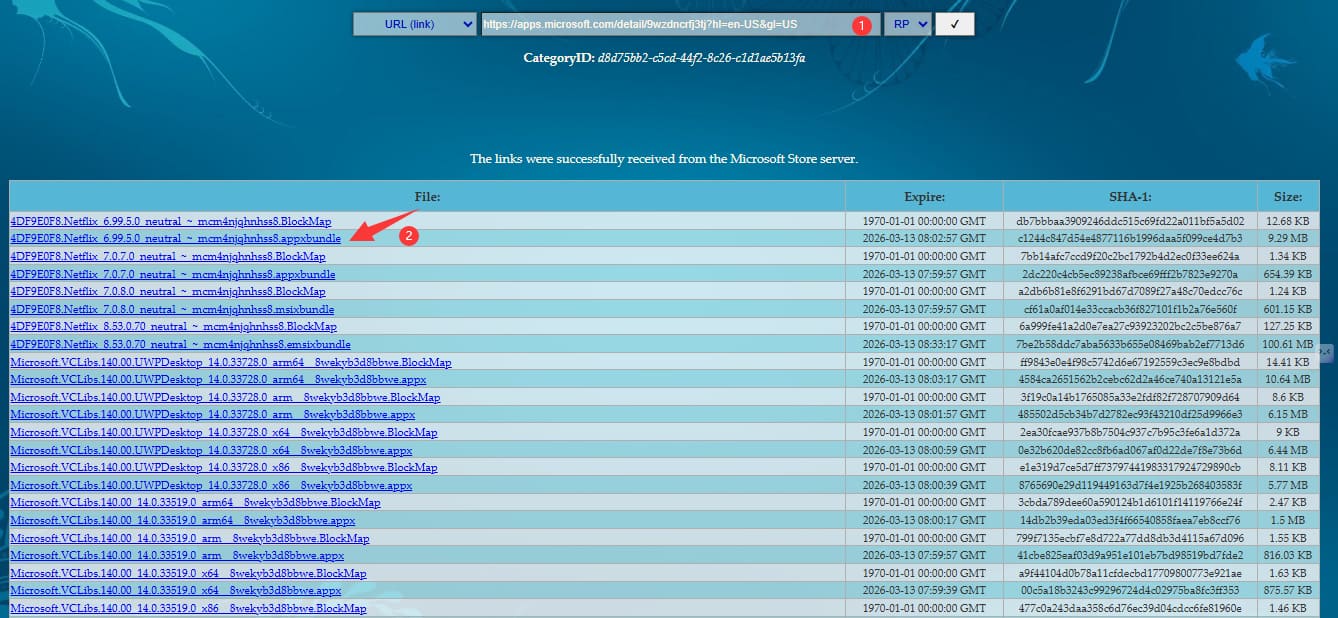 find Netflix older version